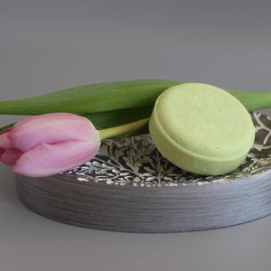 Woodland Shampoo Bar on soap dish with tulip