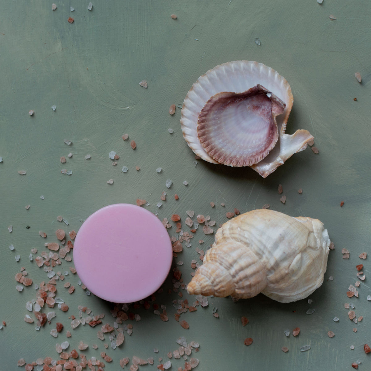 Argan Oil Conditioner Bar - Fine, Straight, Flyaway Hair - Olive & Rosie
